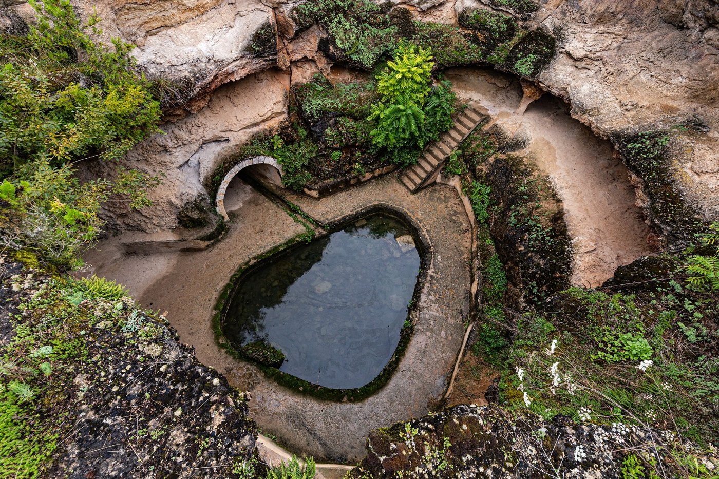 Attraction Image